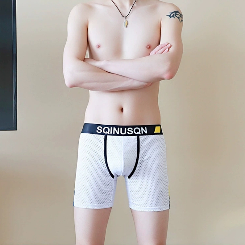 Herren-Boxershorts aus Eisseid – Mesh Sport Boxer Bewertung und Preis